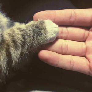 国产欧美精品一区二区三区
